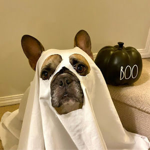 Meet your Posher, Sheila